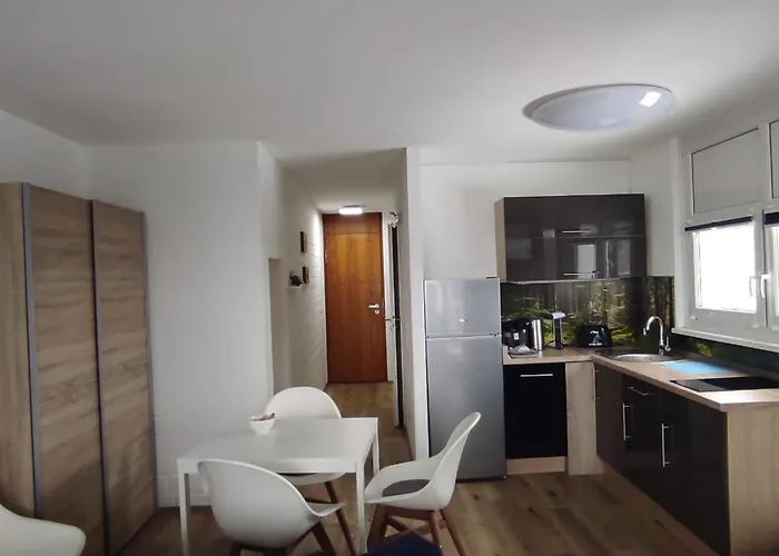 Apartament In Mit Grossem Balkon By Interhome Sankt Englmar